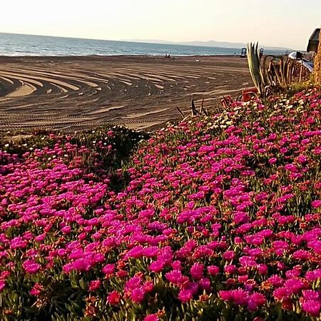Hotel Lupo Di Mare Марина-ді-Кастаньєто-Кардуччі Екстер'єр фото