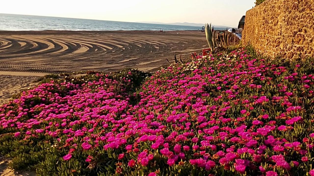 Hotel Lupo Di Mare Марина-ді-Кастаньєто-Кардуччі Екстер'єр фото